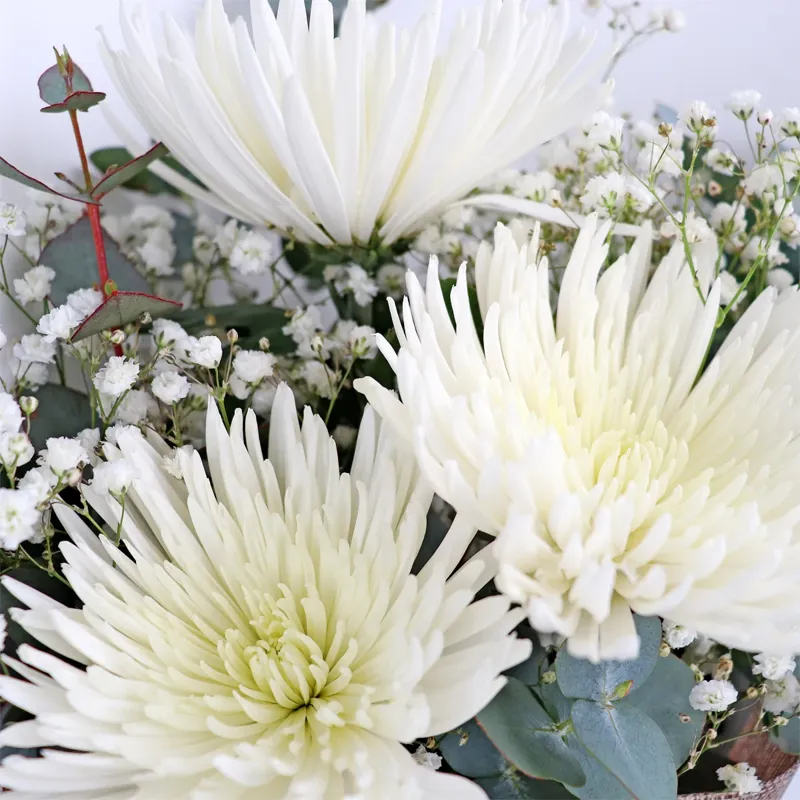 Букет из 3 хризантем и гипсофилы