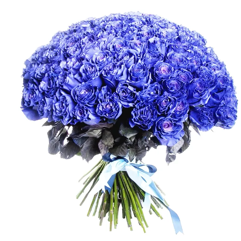 Композиция из 101 розы синего цвета